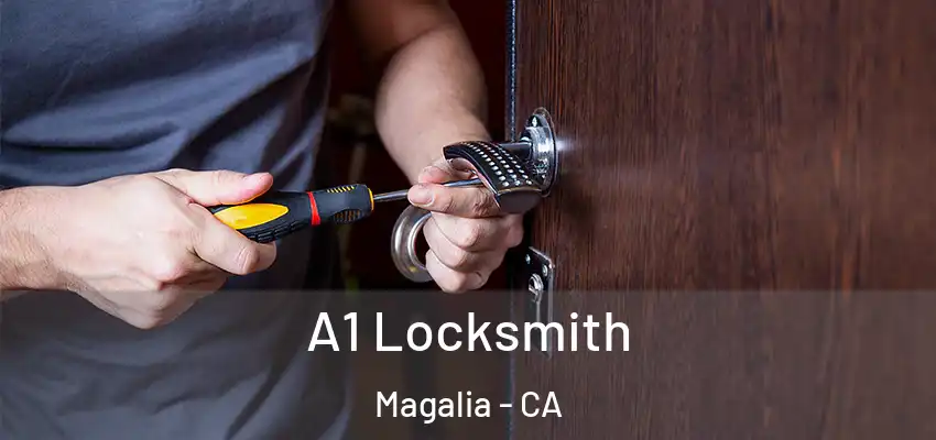  A1 Locksmith Magalia - CA