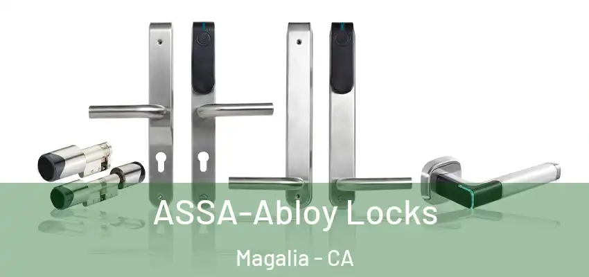  ASSA-Abloy Locks Magalia - CA