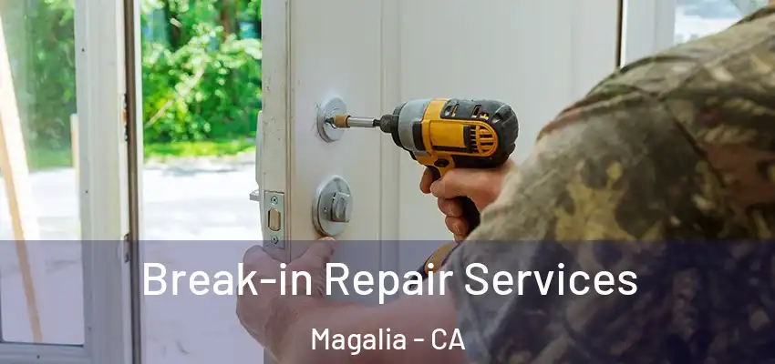  Break-in Repair Services Magalia - CA