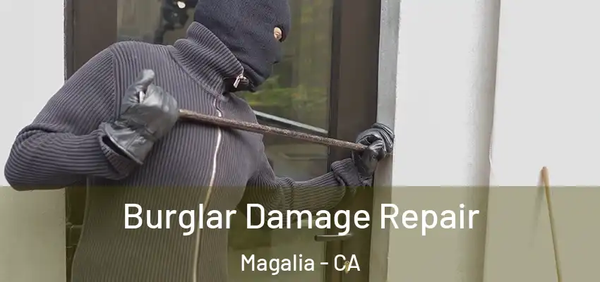 Burglar Damage Repair Magalia - CA