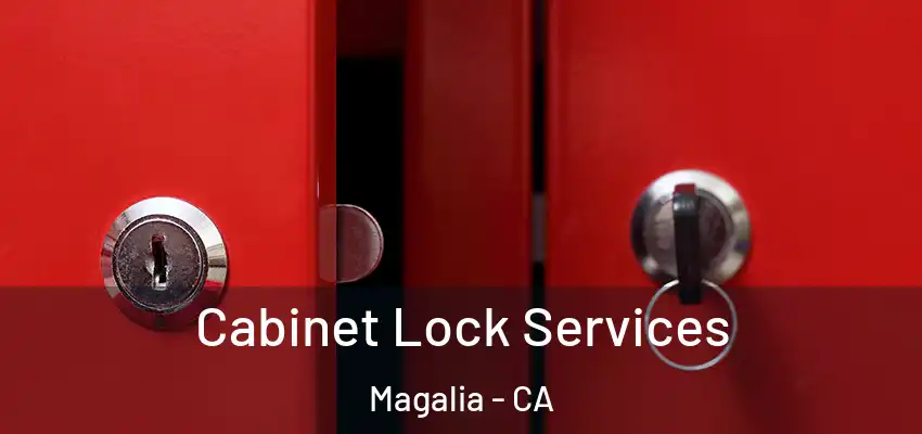  Cabinet Lock Services Magalia - CA