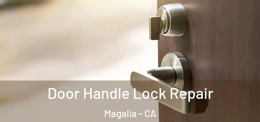  Door Handle Lock Repair Magalia - CA