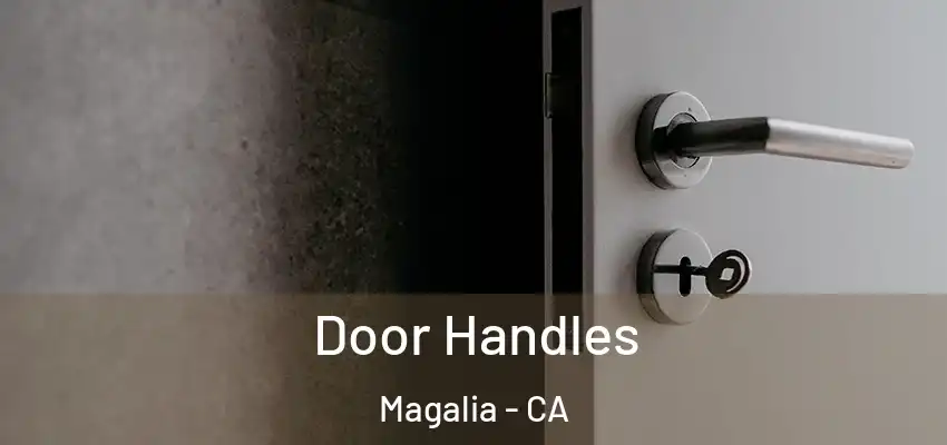  Door Handles Magalia - CA