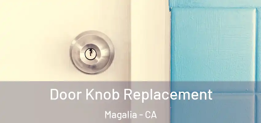  Door Knob Replacement Magalia - CA