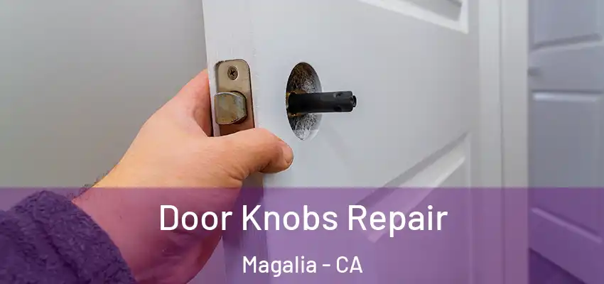  Door Knobs Repair Magalia - CA