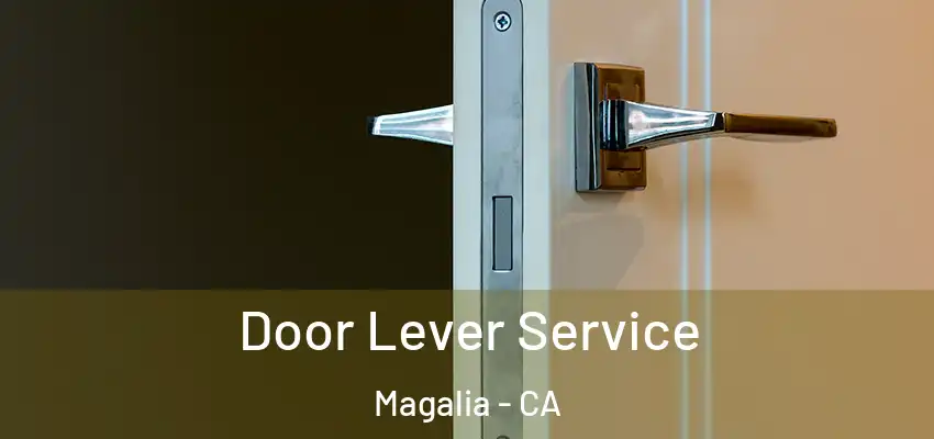  Door Lever Service Magalia - CA