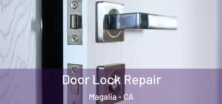  Door Lock Repair Magalia - CA