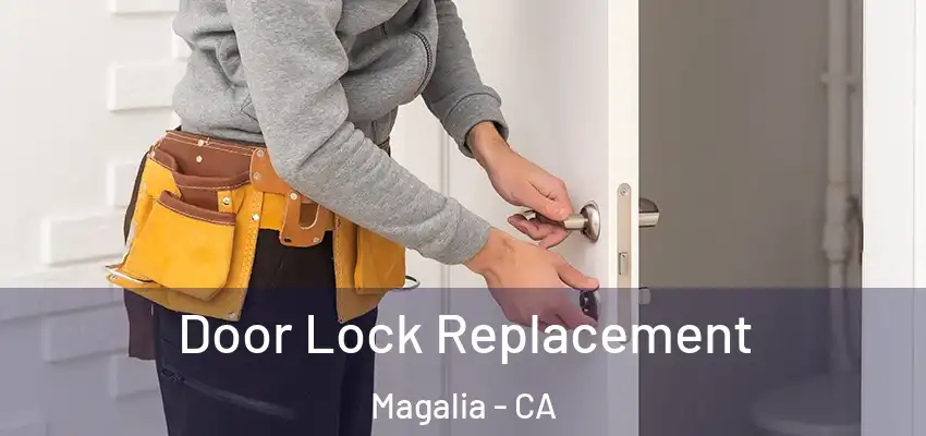 Door Lock Replacement Magalia - CA