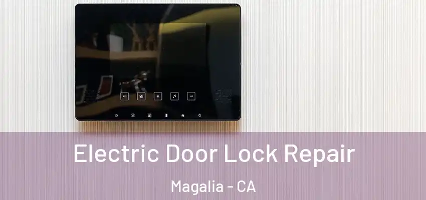 Electric Door Lock Repair Magalia - CA