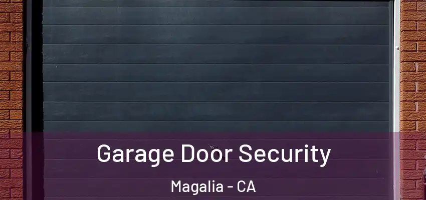  Garage Door Security Magalia - CA