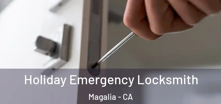  Holiday Emergency Locksmith Magalia - CA