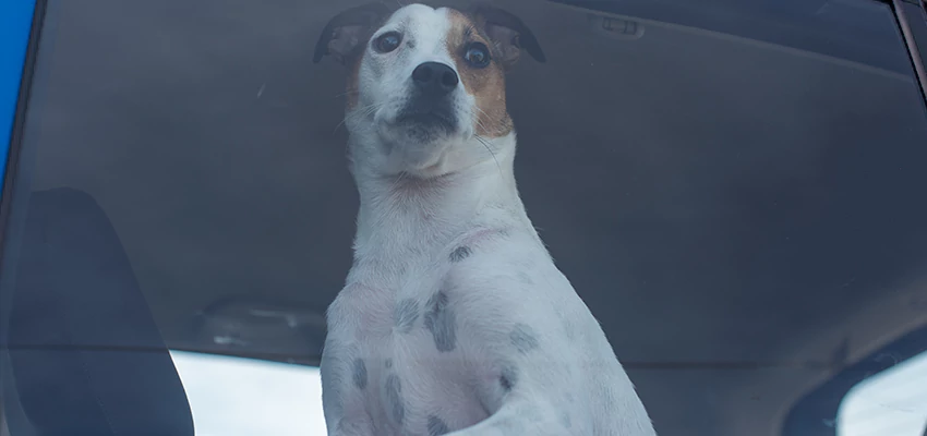 Car Lockout Solutions in Magalia, California