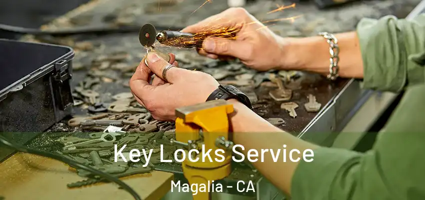  Key Locks Service Magalia - CA