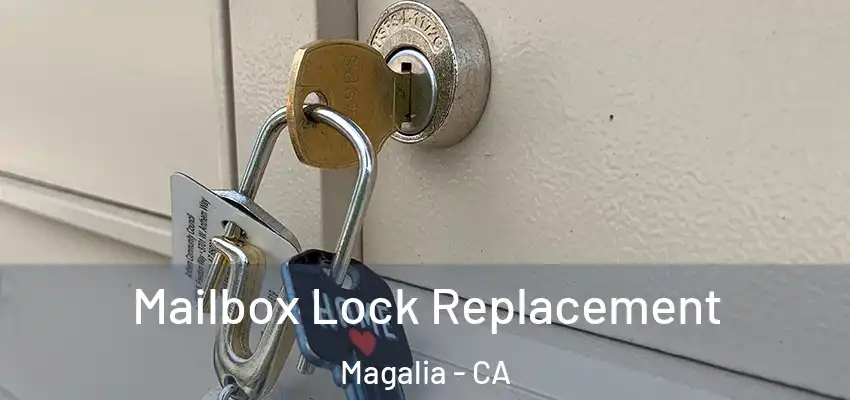 Mailbox Lock Replacement Magalia - CA