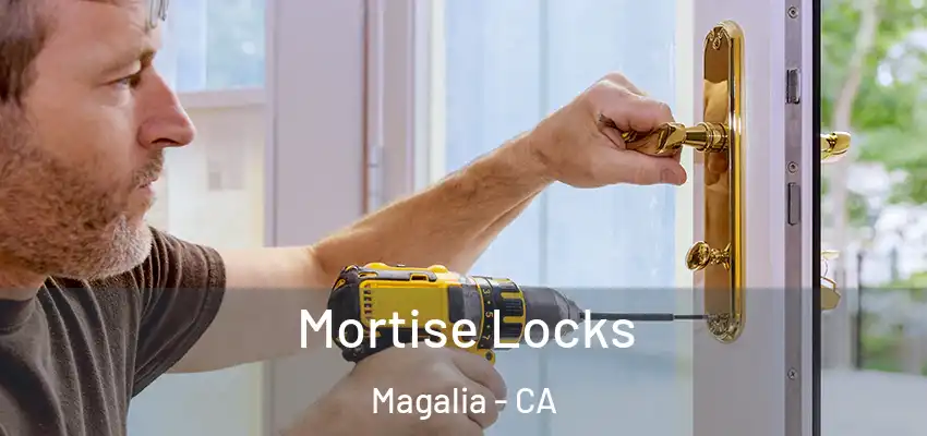  Mortise Locks Magalia - CA