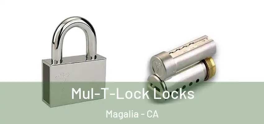  Mul-T-Lock Locks Magalia - CA