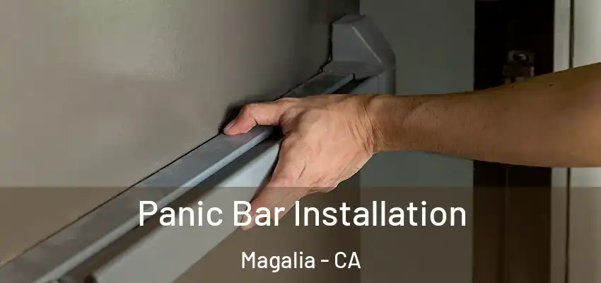 Panic Bar Installation Magalia - CA