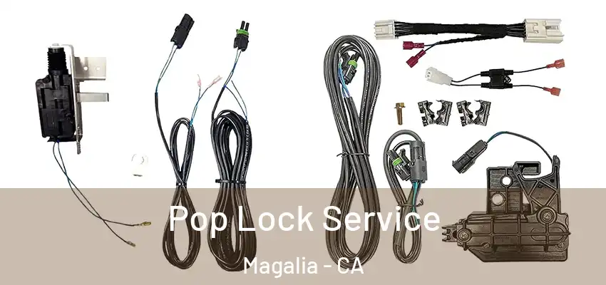  Pop Lock Service Magalia - CA