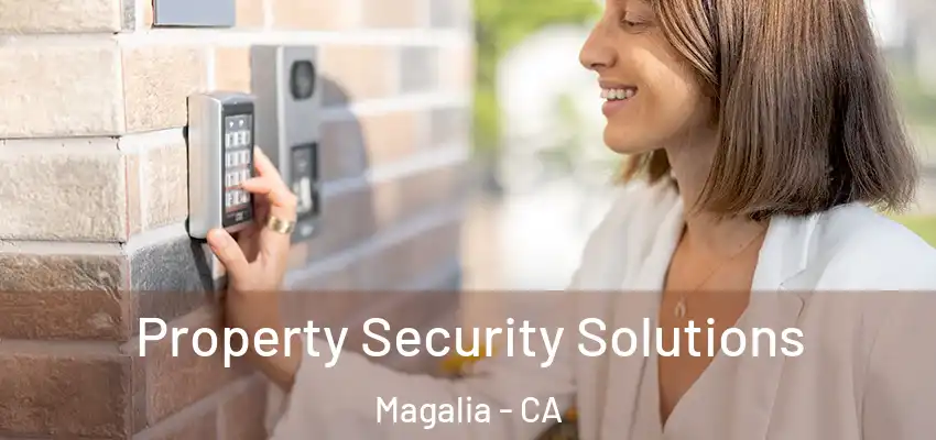 Property Security Solutions Magalia - CA