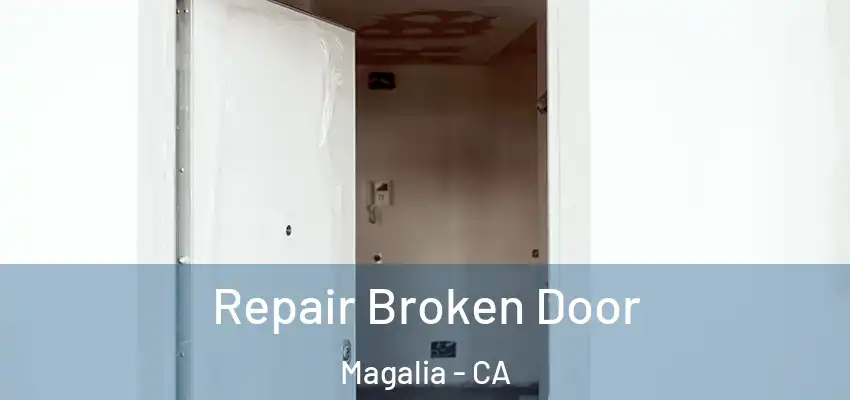  Repair Broken Door Magalia - CA