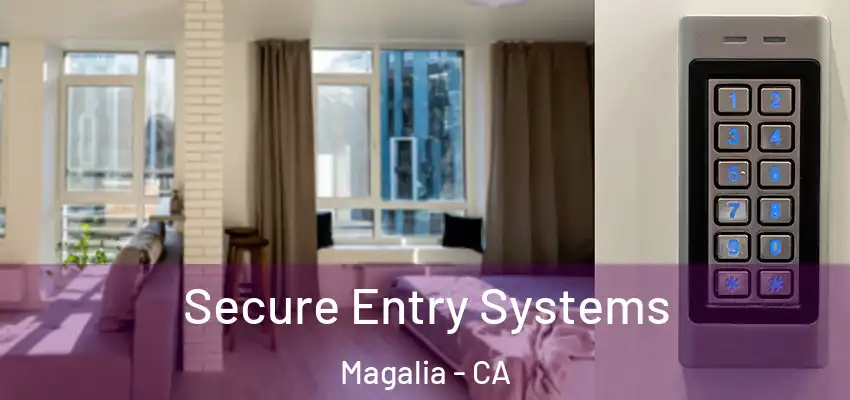  Secure Entry Systems Magalia - CA