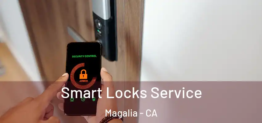 Smart Locks Service Magalia - CA